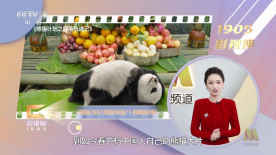 精品一区二区三区视频在线观看